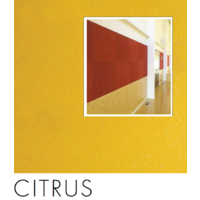 1m of CITRUS Composition Acoustic wallcovering 1220mm wide