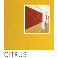 CITRUS 25mm thick Quietspace Acoustic white-backed Panel