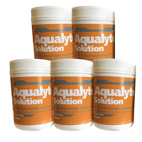 PH044 AUS Aqualyte hydration drink 10 x 480g tubs ORANGE flavour