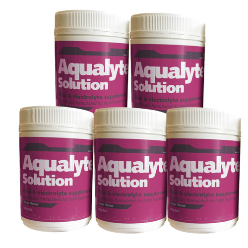PH038 AUS Aqualyte hydration drink 5 x 480g tubs BERRY flavour